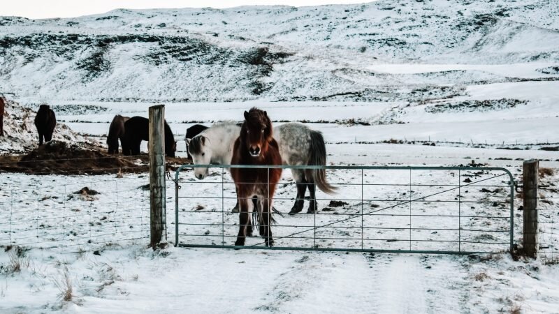 5 dni w Krainie Ognia i Lodu, czyli zimowa podróż na Islandię. Lista miejsc + mapa