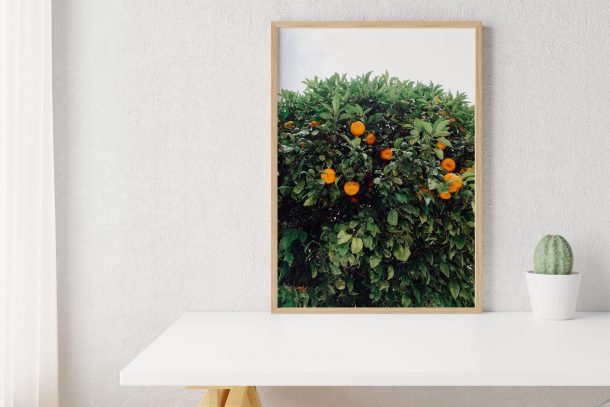 Plakat Pomarańczowe drzewko - aranżacja