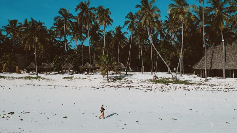 Zanzibar – co musisz wiedzieć przed podróżą. Praktyczne informacje