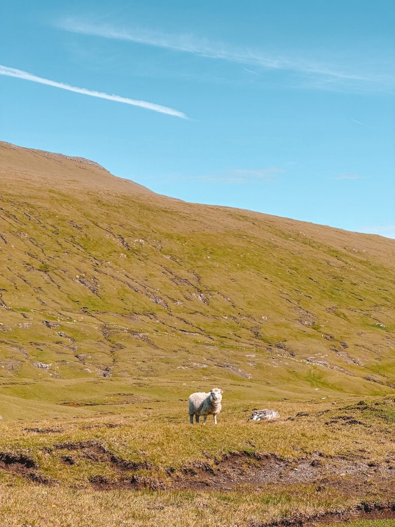 Wyspy Owcze plan zwiedzania