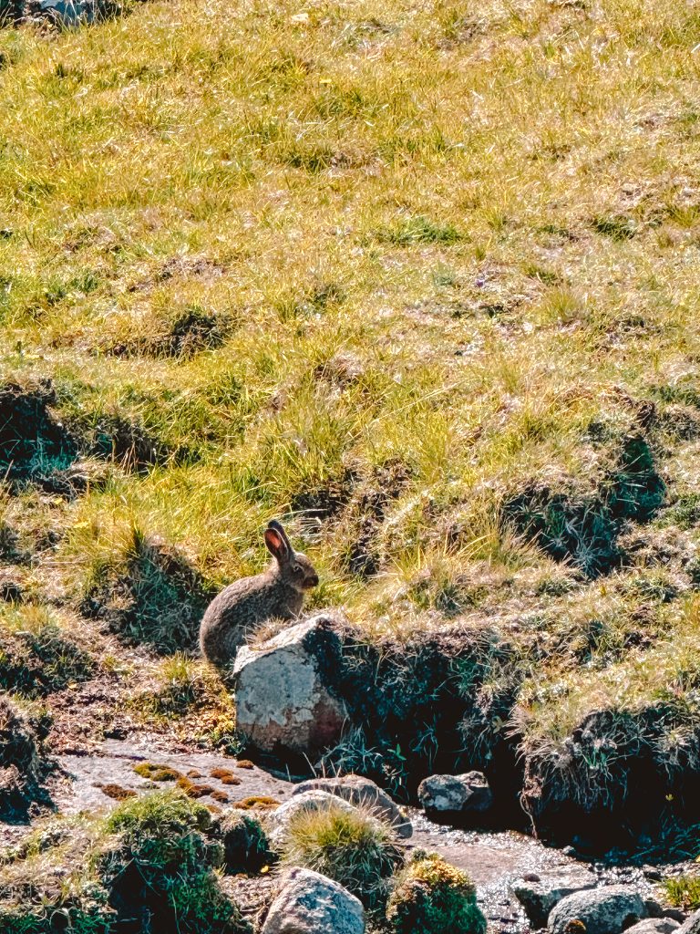 Wyspy Owcze plan zwiedzania