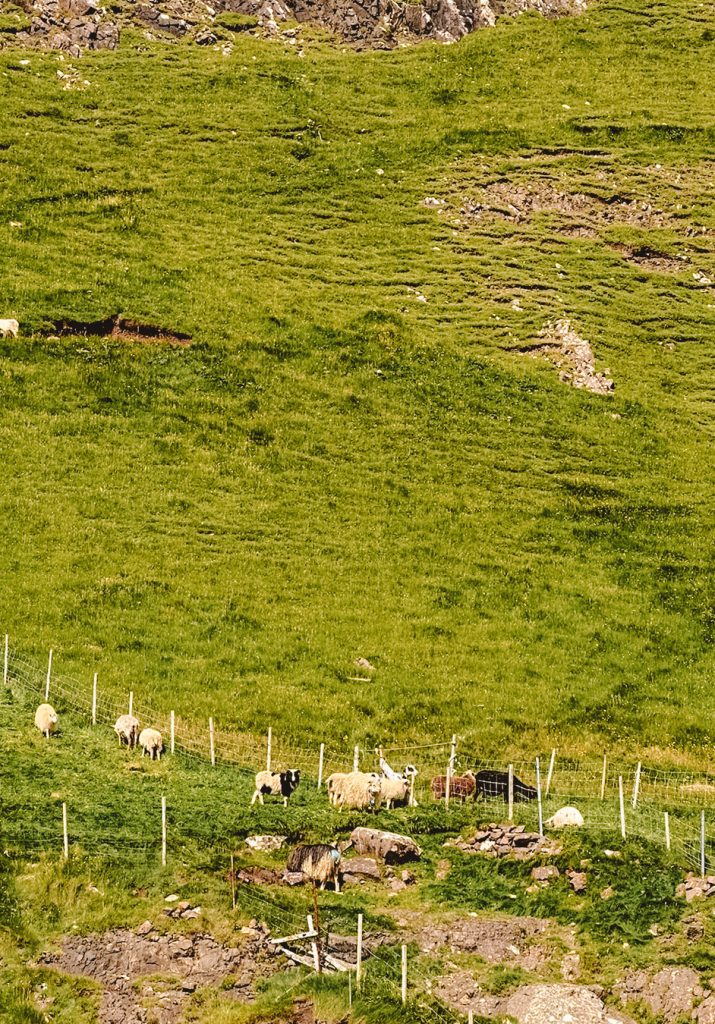 Wyspy Owcze plan zwiedzania