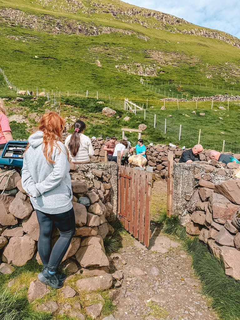 Wyspy Owcze plan zwiedzania