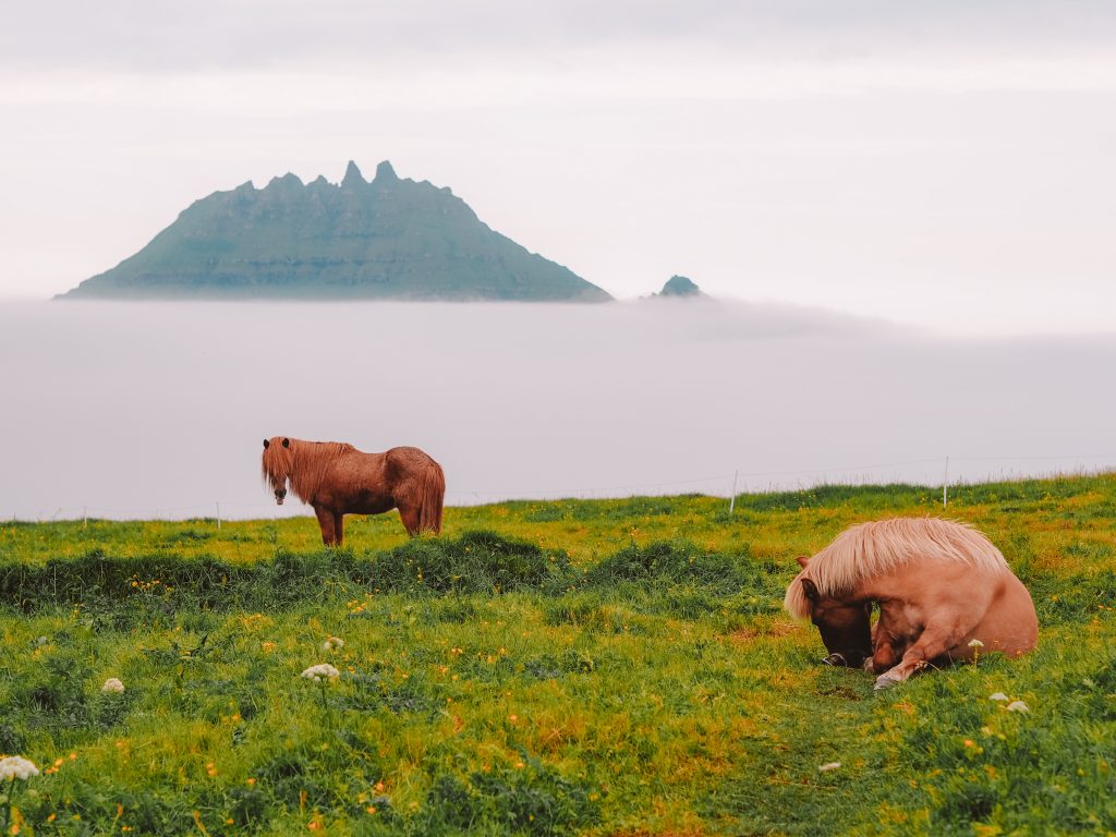 Wyspy Owcze co zobaczyć