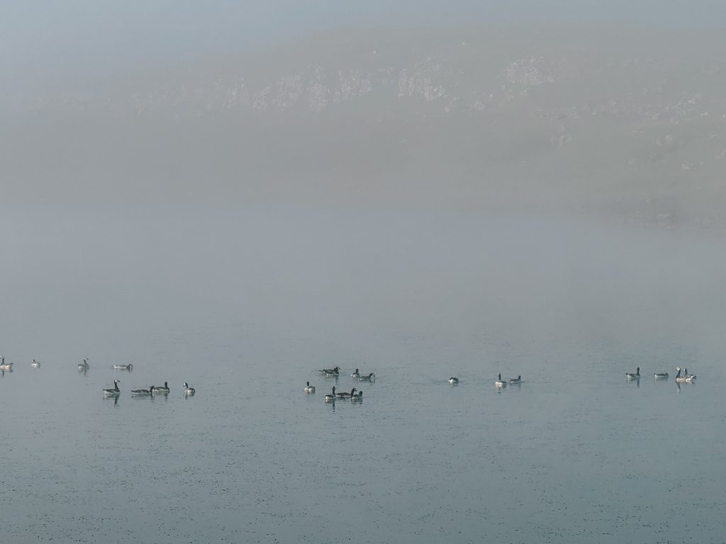 Wyspy Owcze zwiedzanie