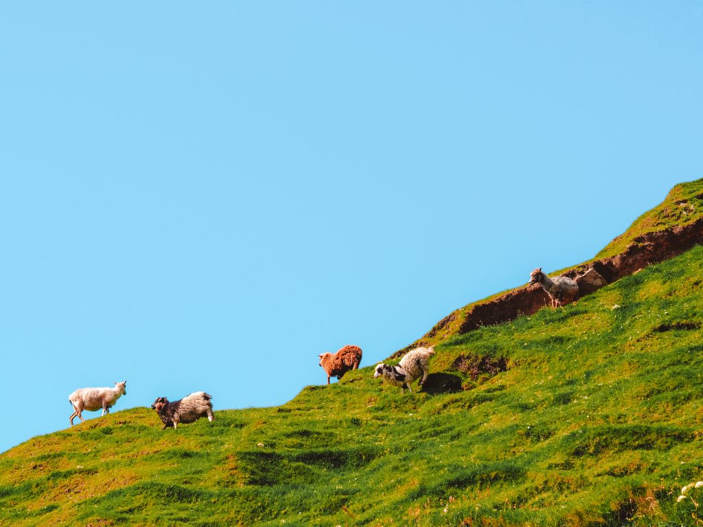 Wyspy Owcze co zobaczyć