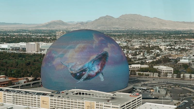 Las Vegas w 2026: co zobaczyć, gdy pierwszy raz lądujecie w mieście grzechu